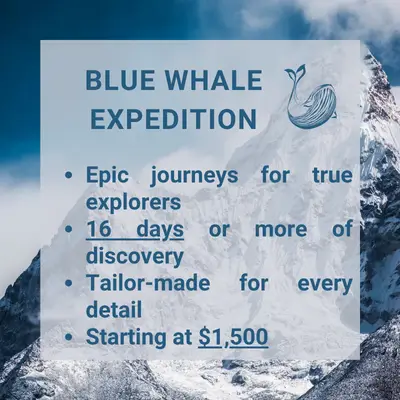 The Blue Whale Expedition