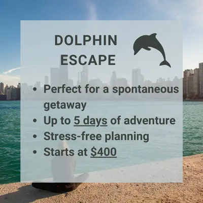 The Dolphin Escape