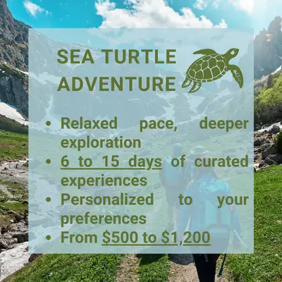The Sea Turtle Adventure