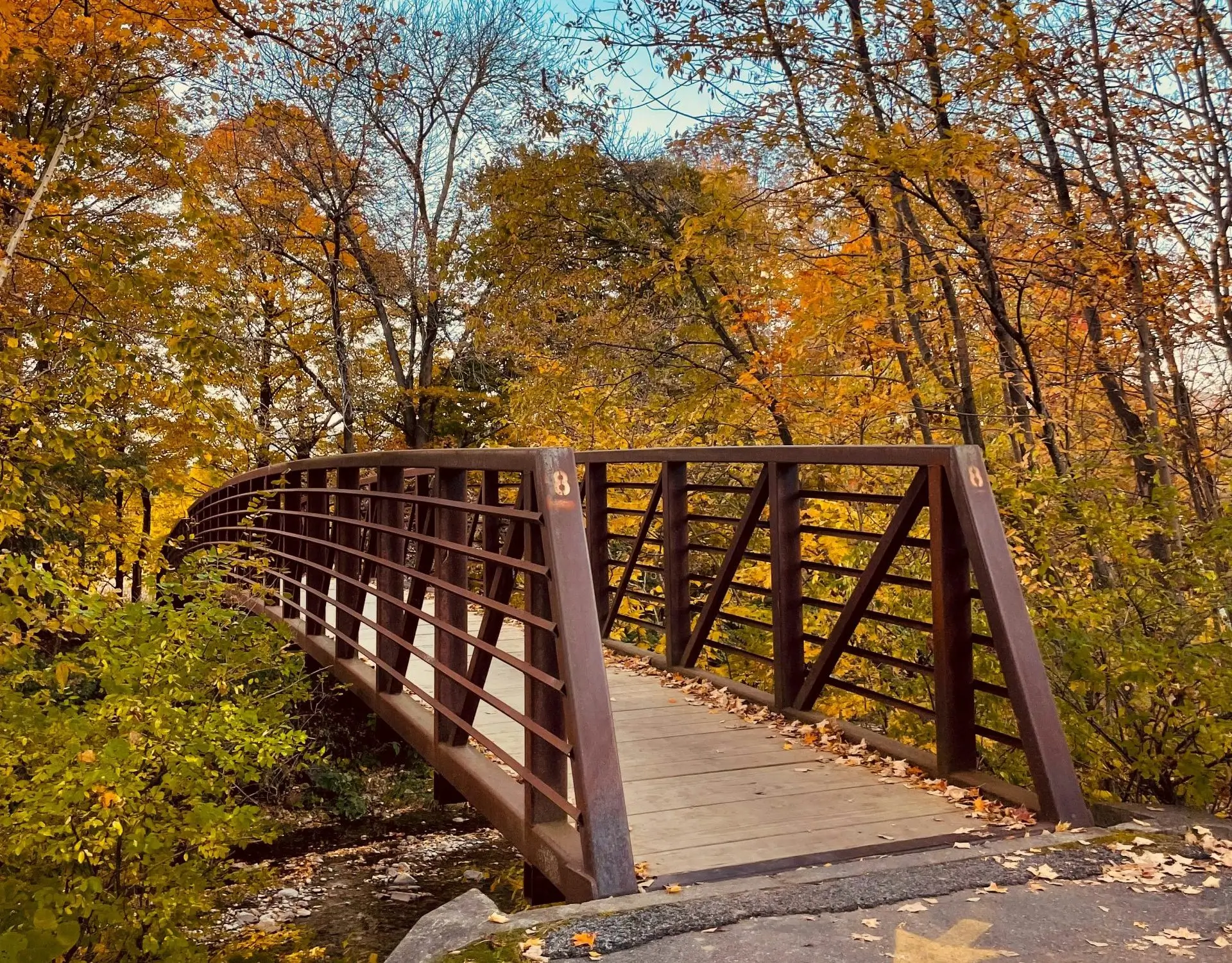 A rustic wooden bridge stretches across a small stream surrounded by vibrant autumn foliage, with golden-yellow and orange leaves contrasting against a bright blue sky. The scene is serene and captures the essence of fall in Stowe, Vermont.