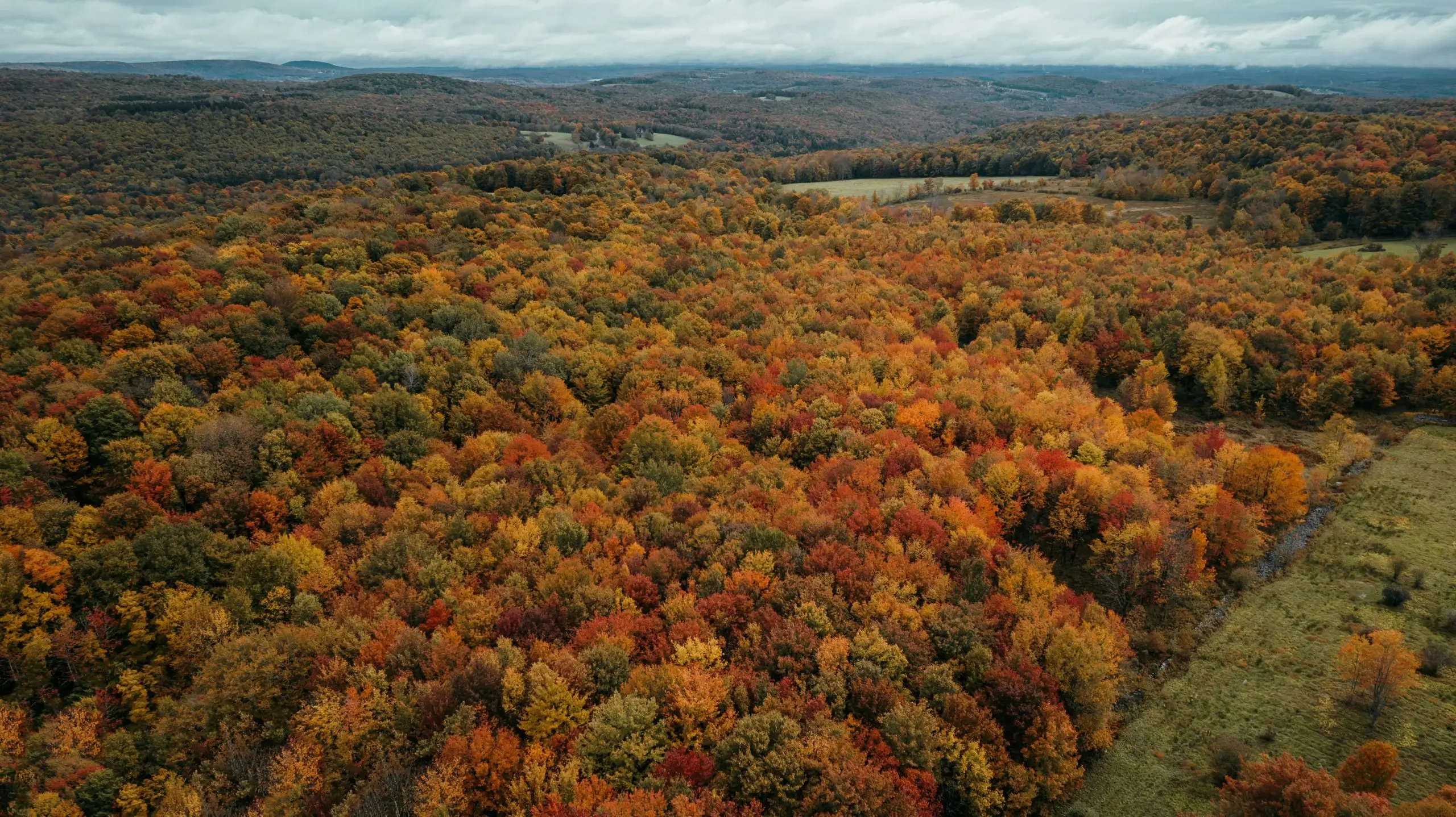 An expansive aerial view of the Catskills in New York during the peak of fall foliage. The landscape is a vibrant tapestry of autumn colors, with dense forests displaying shades of red, orange, and yellow, stretching across rolling hills and valleys.